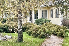 Усадьба 600 кв. в д. Поповка